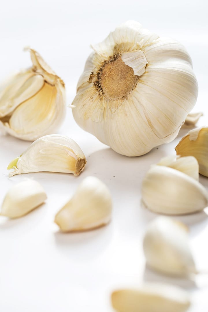 Vegetables on a white background